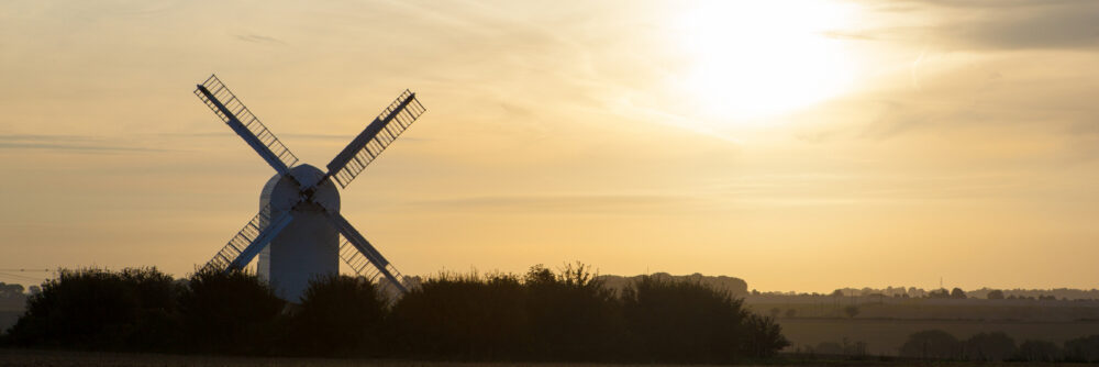 Image for One day, unlimited bus travel