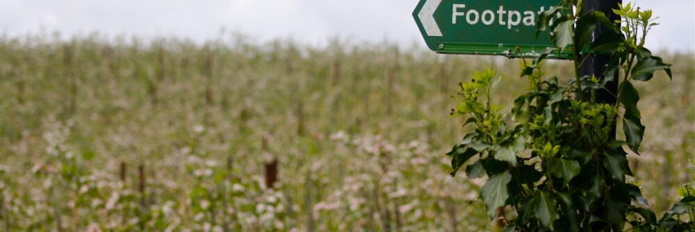 Image for For Leisure